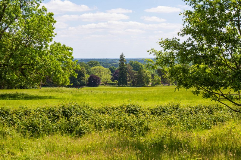 Greys Court