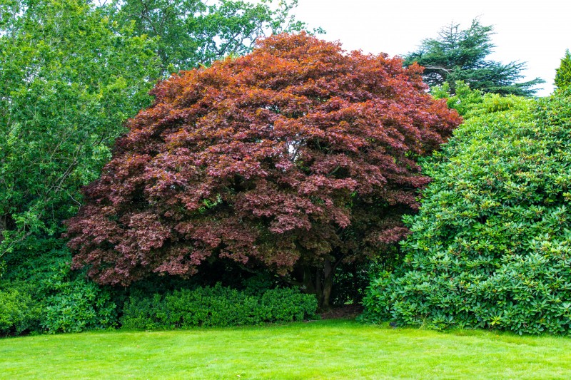 Leonardslee Lakes & Gardens