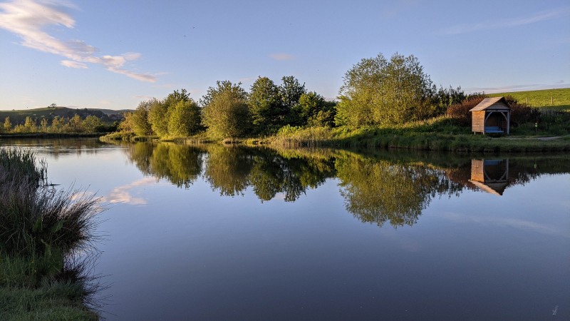 Camping at Fforestfields