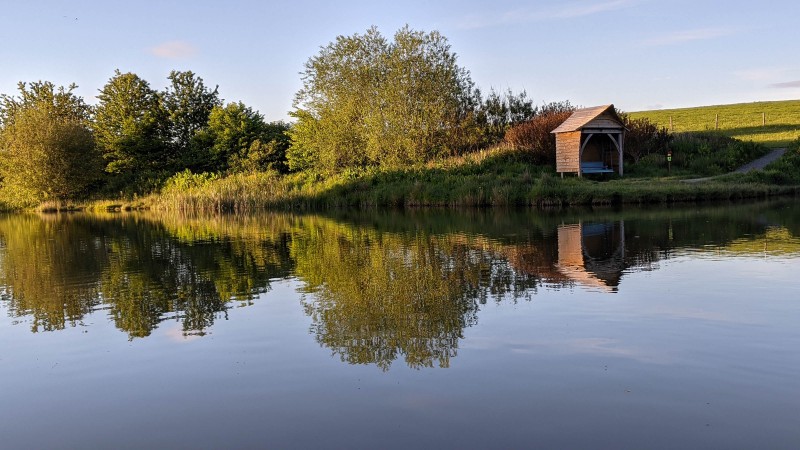 Camping at Fforestfields