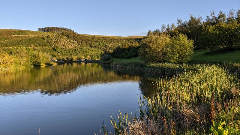 Camping at Fforestfields