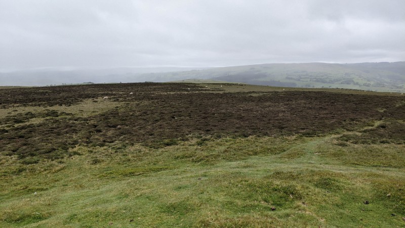 Camping at Fforestfields