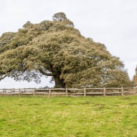 National Trust - Stowe