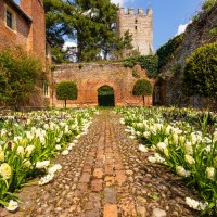 National Trust - Greys Court