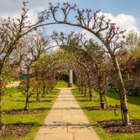 National Trust - Greys Court