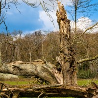 National Trust - Greys Court