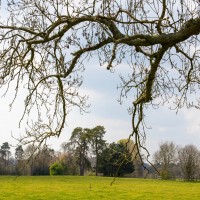 National Trust - Greys Court