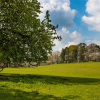 National Trust - Greys Court