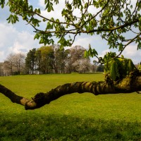 National Trust - Greys Court