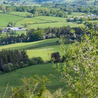 Camping at Fforestfields