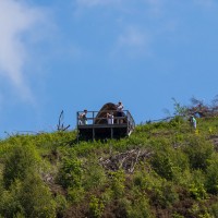 Camping at Fforestfields