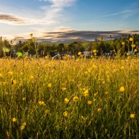 Camping at Fforestfields