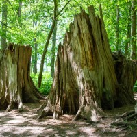 Greys Court