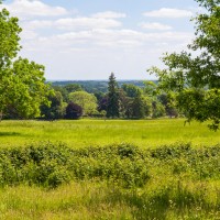 Greys Court