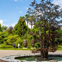 Leonardslee Lakes & Gardens