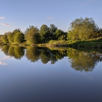 Camping at Fforestfields