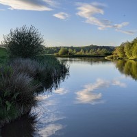 Camping at Fforestfields