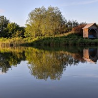 Camping at Fforestfields