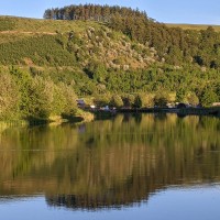 Camping at Fforestfields