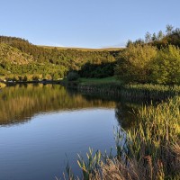 Camping at Fforestfields