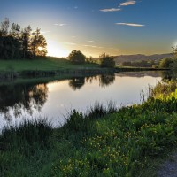 Camping at Fforestfields