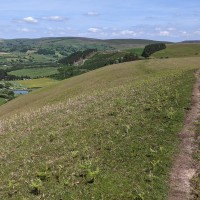 Camping at Fforestfields