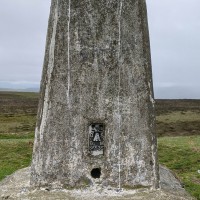 Camping at Fforestfields