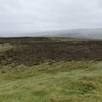 Camping at Fforestfields