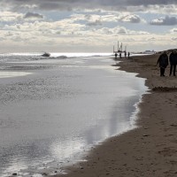 Southwold - Steve's Birthday