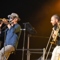 Cambridge Folk Festival