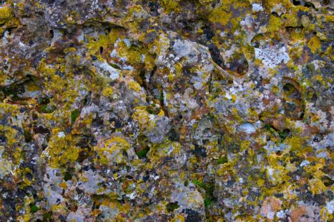 The Rollright Stones