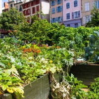 Le Puy-en-Velay