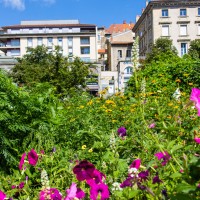 Le Puy-en-Velay