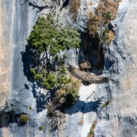 Vulture cliff landing