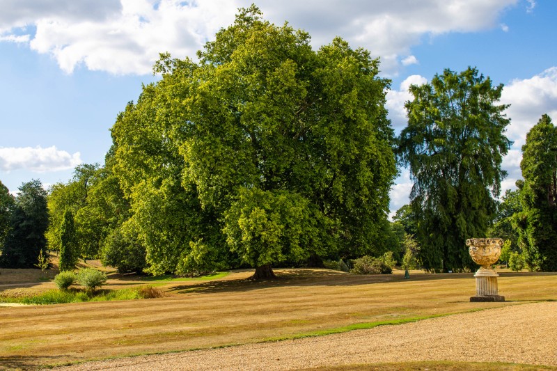 Frogmore House and Gardens