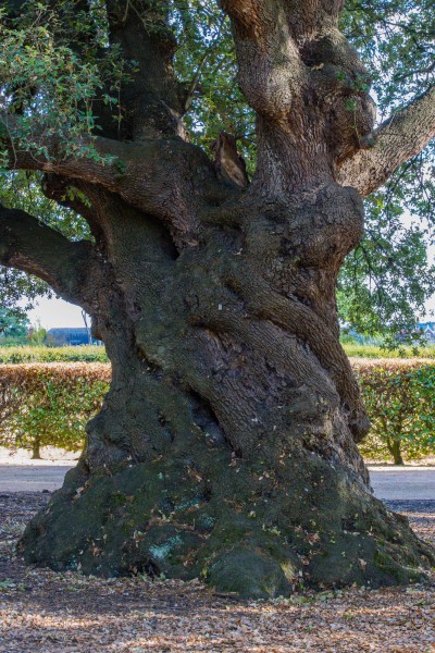 Frogmore House and Gardens