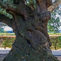 Frogmore House and Gardens