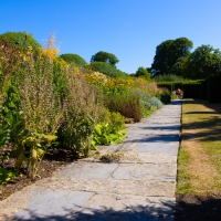 National Trust - Lytes Cary Manor