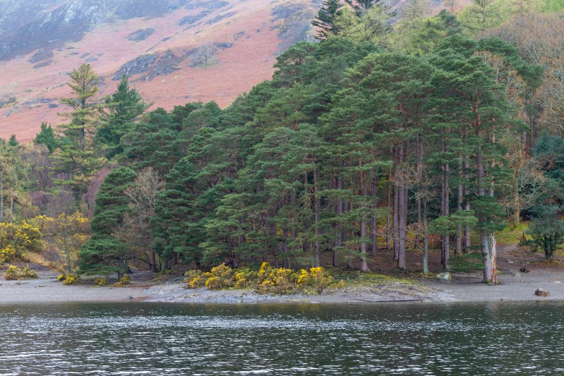 The Lake District