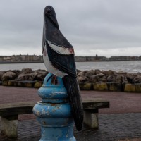 Morecambe