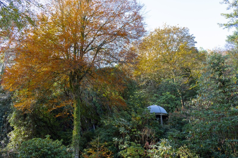 Portmeirion