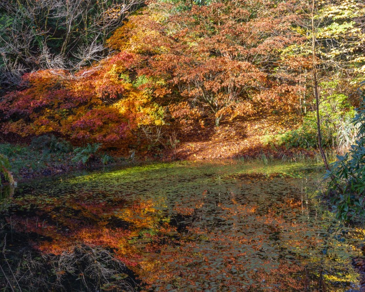 Portmeirion