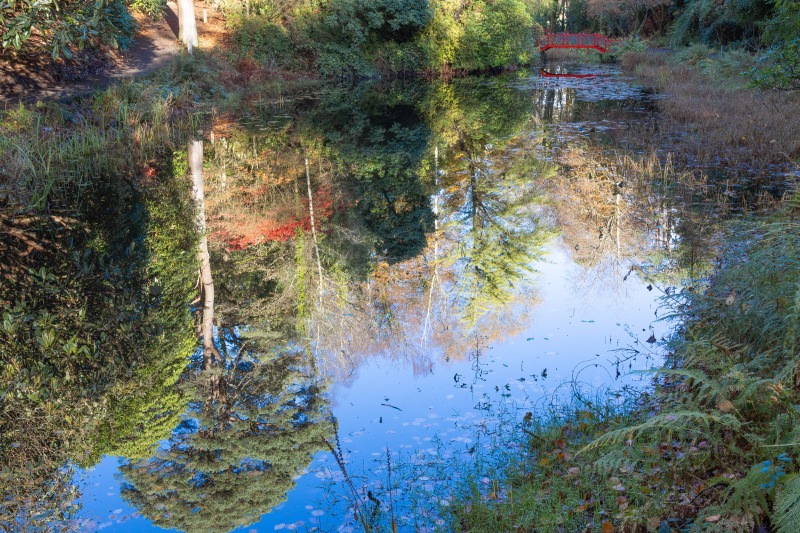 Portmeirion