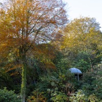 Portmeirion