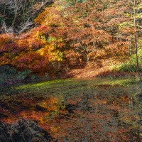 Portmeirion