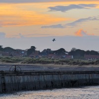 Southwold for Stevies birthday