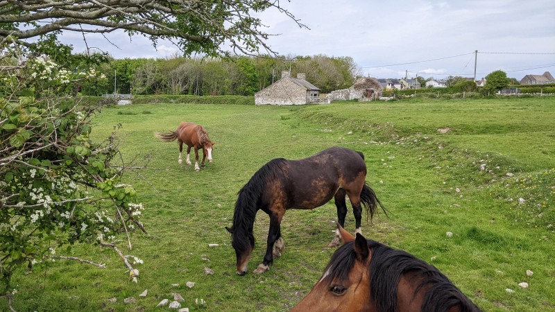 Behind the Heritage Coast Campsite