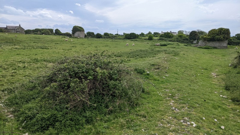 Behind the Heritage Coast Campsite