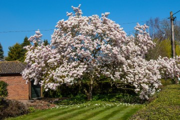 Flatford, East Bergholt