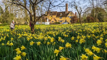 Thorington Hall, Thorington Street